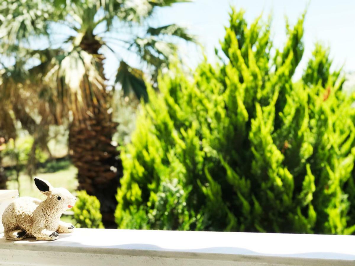 Villa Vave نيا إيراكليا المظهر الخارجي الصورة